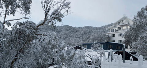 Attunga Alpine Lodge - New Castle Holiday 0