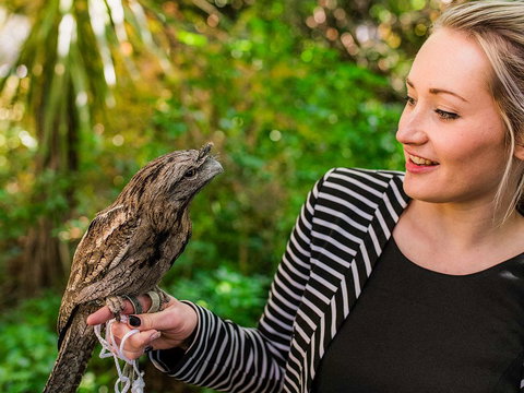 Mount Lofty House - New Castle Holiday 1