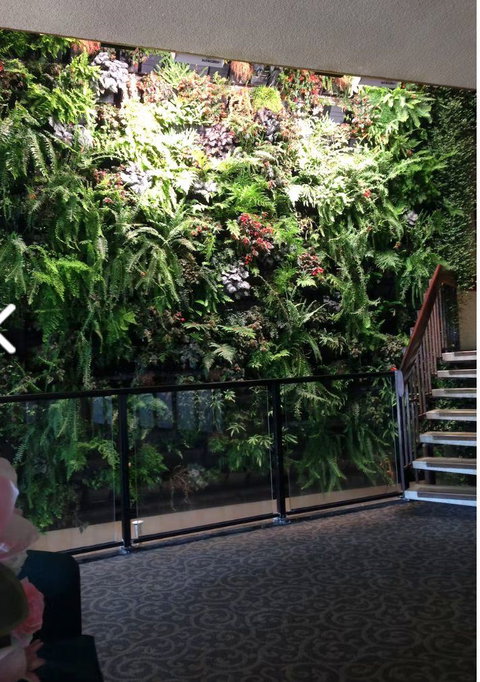 Mid City Hotel Ballart - New Castle Holiday 2