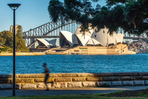 Holiday Inn Potts Point - New Castle Holiday 15