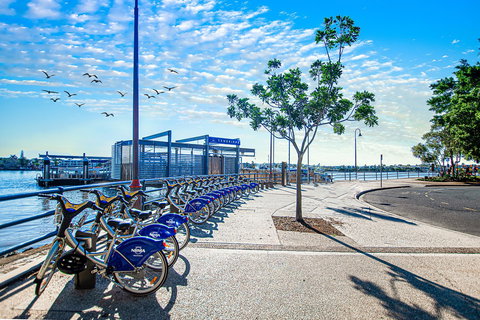 Goldsborough Place - New Castle Holiday 2