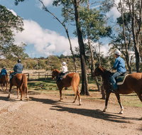 Country Club Villas - New Castle Holiday