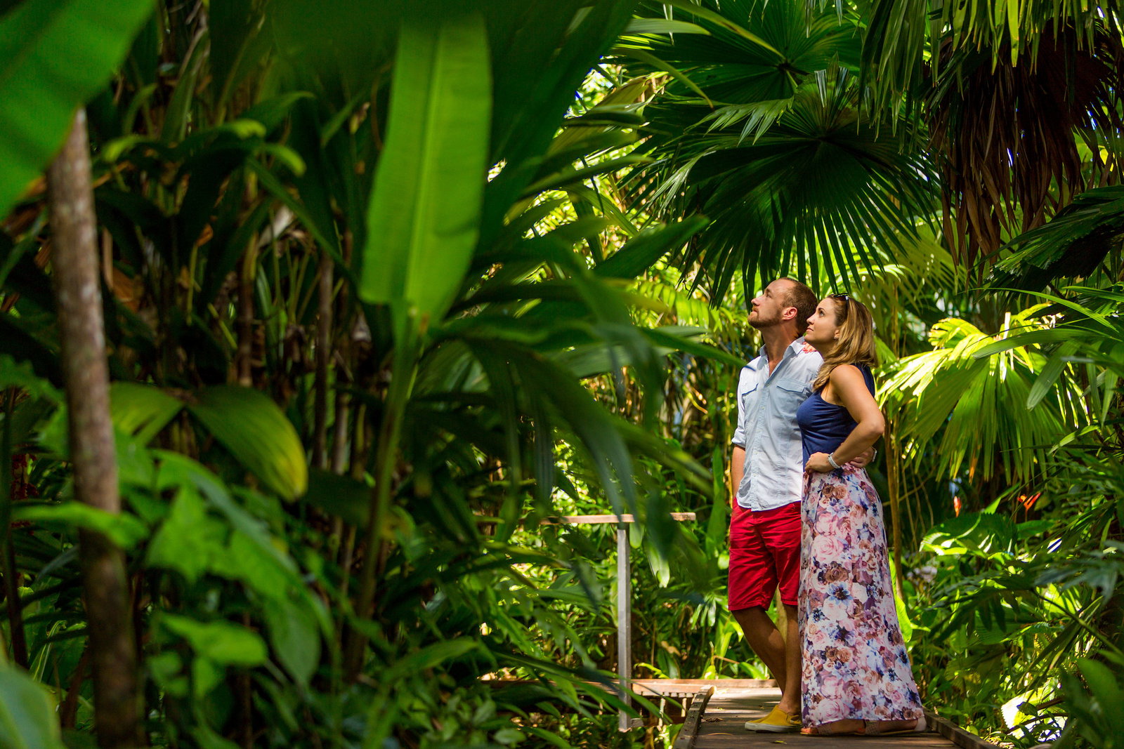 Cairns City QLD New Castle Holiday