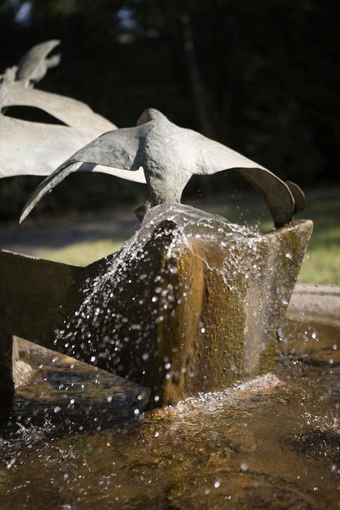 University House - ANU - New Castle Holiday 30