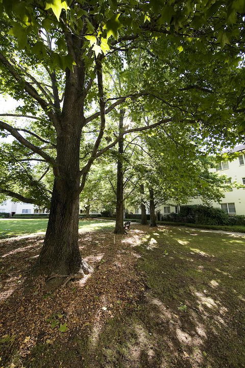 University House - ANU - New Castle Holiday 28