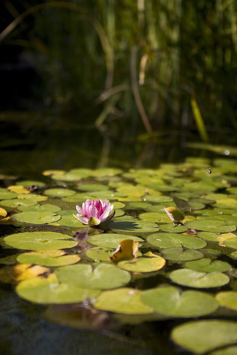 University House - ANU - New Castle Holiday 35