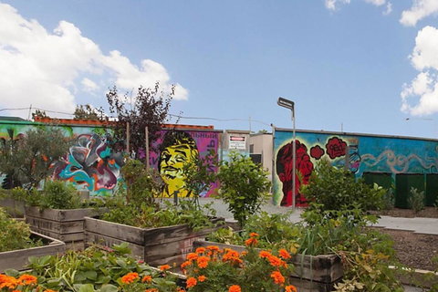 Canberra Luxury Apartment 3 - New Castle Holiday 13