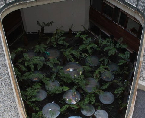 Canberra Luxury Apartment 3 - New Castle Holiday 32