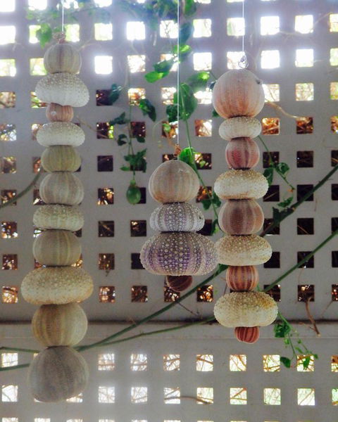 Driftwood On Dover - New Castle Holiday 11