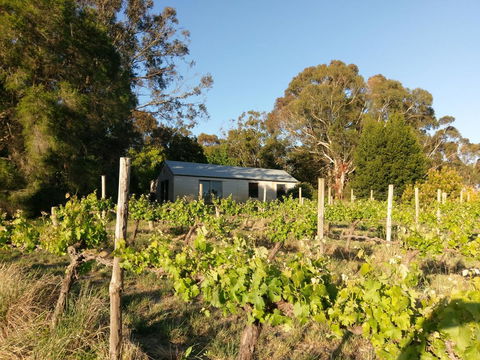Lost In The Vines - New Castle Holiday 25