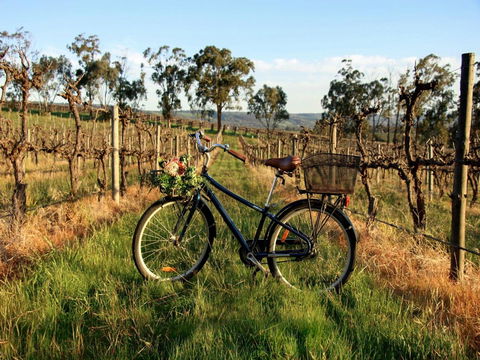 Lost In The Vines - New Castle Holiday 17