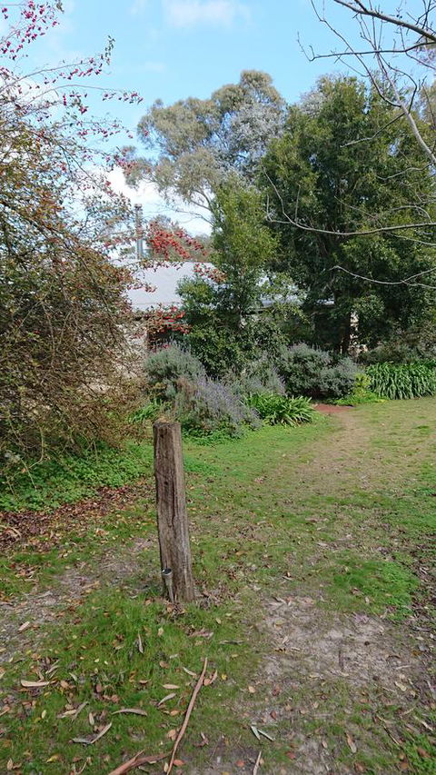 Lost In The Vines - New Castle Holiday 21