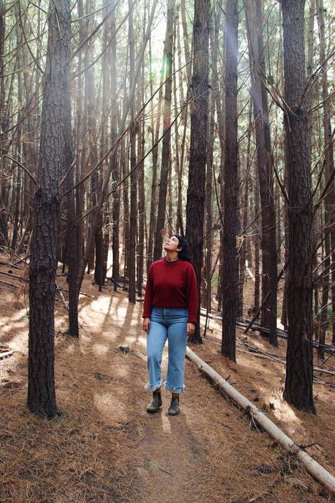 Lost In The Vines - New Castle Holiday 19