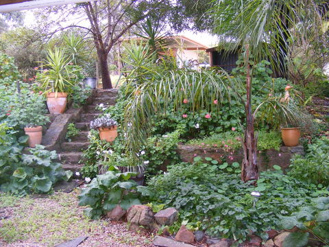 Trevalia Accommodation - New Castle Holiday 12