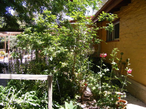 Trevalia Accommodation - New Castle Holiday 7