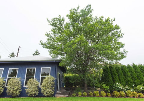 S T U D I O 22 Peaceful Retreat With Garden Views - New Castle Holiday 11