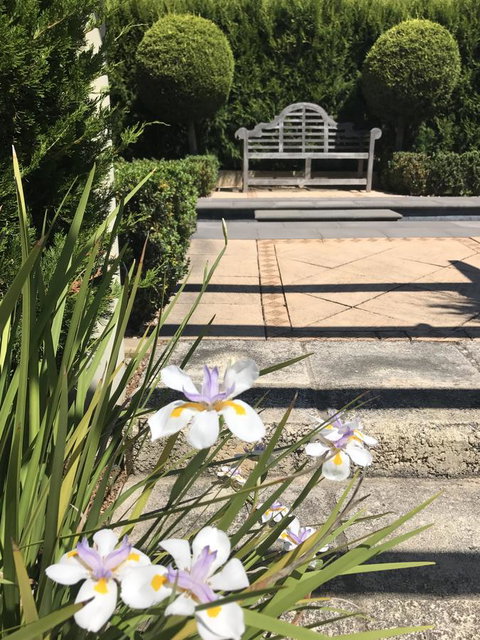 S T U D I O 22 Peaceful Retreat With Garden Views - New Castle Holiday 13
