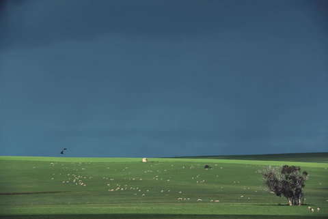 Boutique Getaway On Wright - New Castle Holiday 29