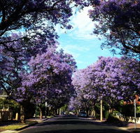 Monaco Court Apartment Adelaide - New Castle Holiday