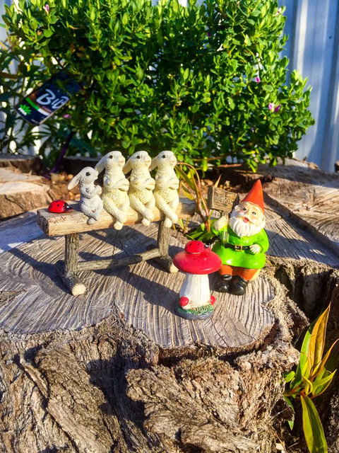 Inglenook Cottage - New Castle Holiday 34