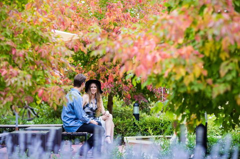 The Studios By Manna, Ascend Hotel Collection - New Castle Holiday 26