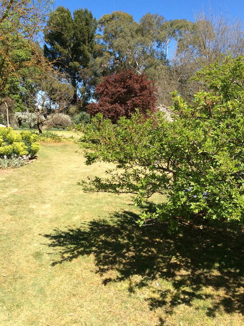 Kit Kat Cottage - Heritage Accommodation Burra - New Castle Holiday 6