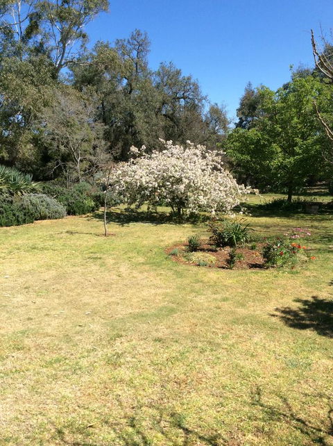 Kit Kat Cottage - Heritage Accommodation Burra - New Castle Holiday 5