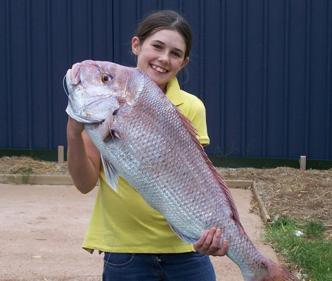 Discovery Parks - Whyalla Foreshore - New Castle Holiday 17