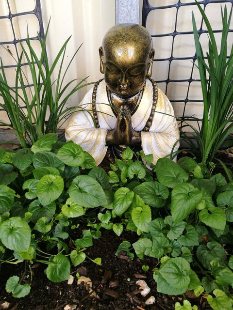 Hilda Anna's - New Castle Holiday 44