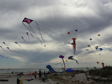 Semaphore Splash Apartments - New Castle Holiday 18