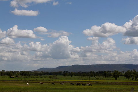 Isis Motel Scone - New Castle Holiday 5