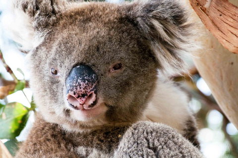 Admirals Inn - New Castle Holiday 31