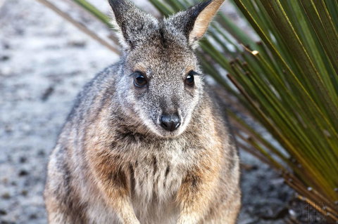 Admirals Inn - New Castle Holiday 32