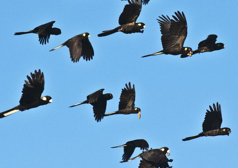 Admirals Inn - New Castle Holiday 42