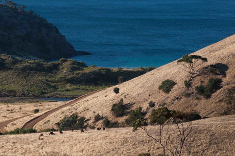 Admirals Inn - New Castle Holiday 44