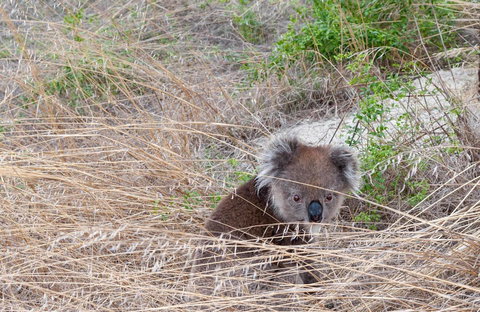 Admirals Inn - New Castle Holiday 33