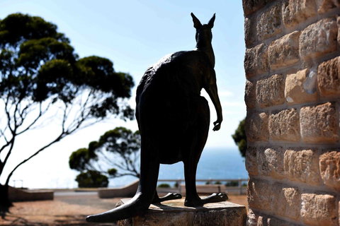 Admirals Inn - New Castle Holiday 12