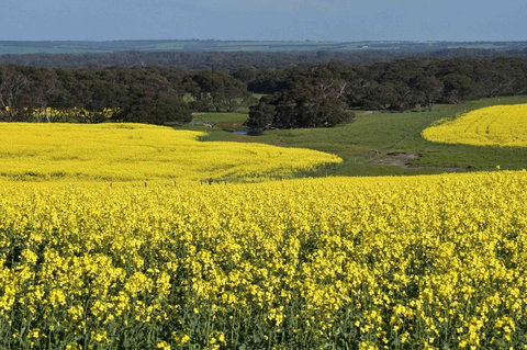 Admirals Inn - New Castle Holiday 41