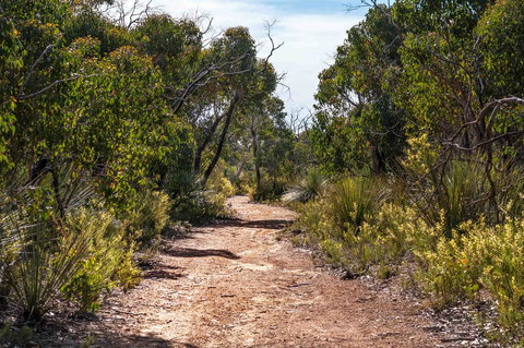 Admirals Inn - New Castle Holiday 35