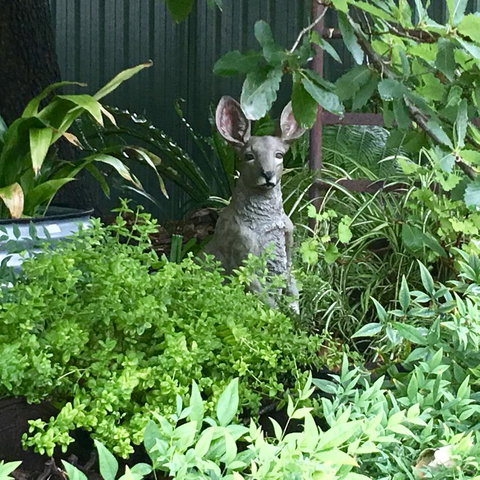 Hahndorf Oak Tree Cottages - New Castle Holiday 12