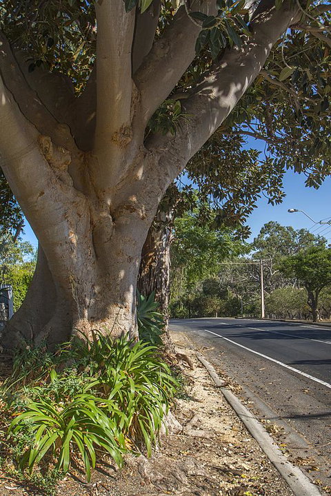 Stoneleigh Cottage Bed And Breakfast - New Castle Holiday 25