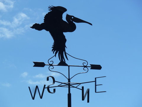 SeaShells Penneshaw - New Castle Holiday 5