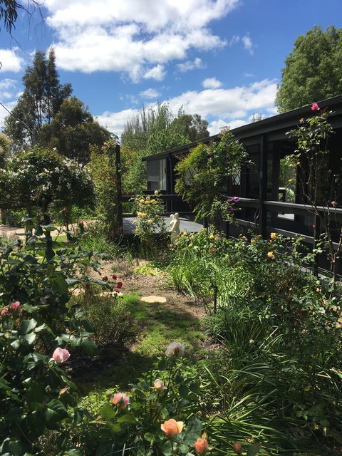 Hilltop Too - New Castle Holiday 4