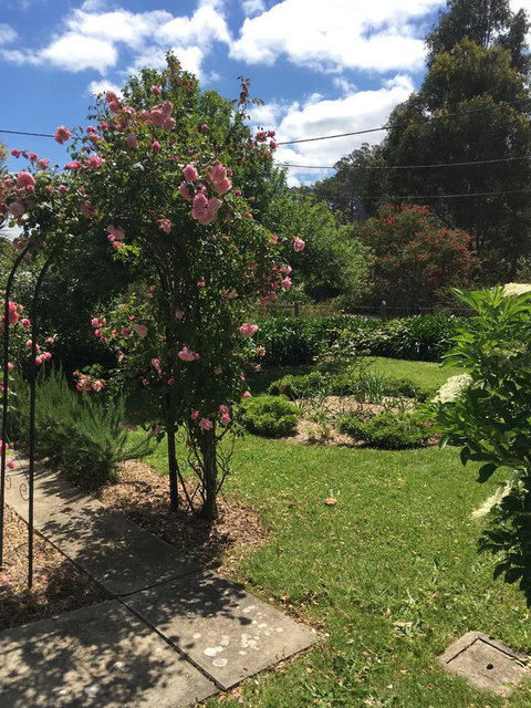 Hilltop Too - New Castle Holiday 13