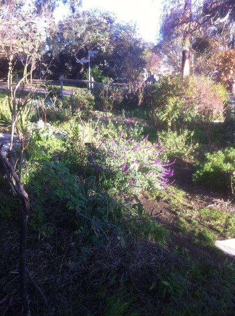 Hilltop Too - New Castle Holiday 12