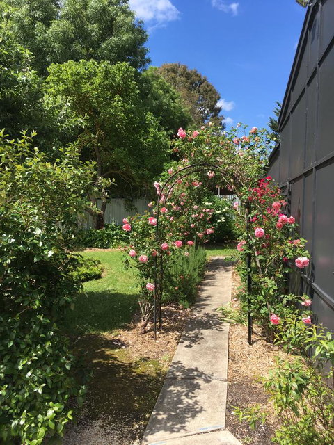 Hilltop Too - New Castle Holiday 5