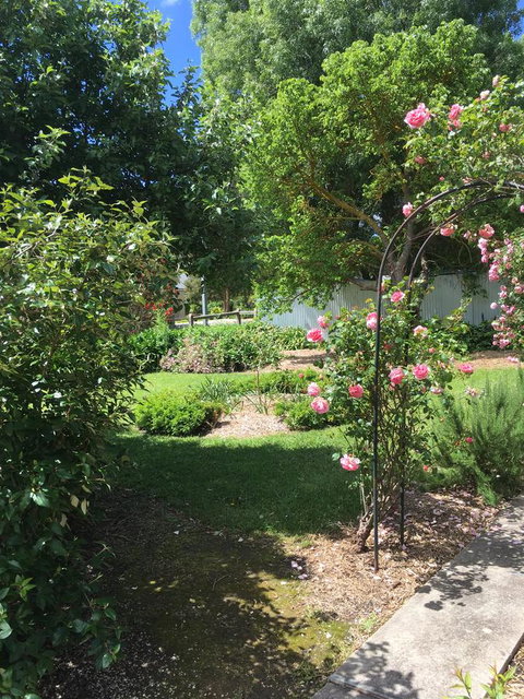 Hilltop Too - New Castle Holiday 6