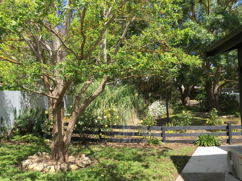 Hilltop Too - New Castle Holiday 7