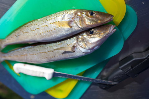 Modra\'s Apartments - New Castle Holiday 17