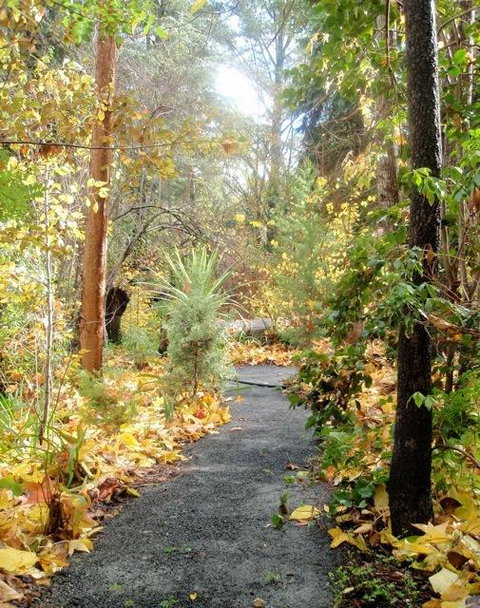 Aldgate Valley Bed And Breakfast - New Castle Holiday 43